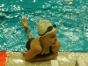 e_bonnar-11-12
